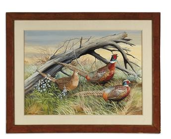 SINGER, ARTHUR. Pheasants in Grass.